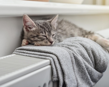 Eine grau gestreifte Katze liegt auf einer Heizung und schläft.