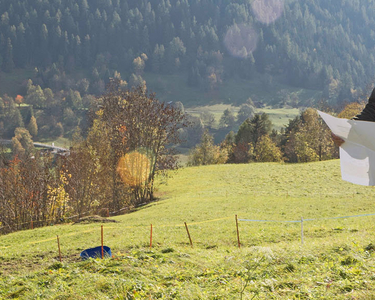 Der Ski-Star und Home Energy Kunde Daniel Albrecht steht mit einem Bauplan auf einer Wiese.